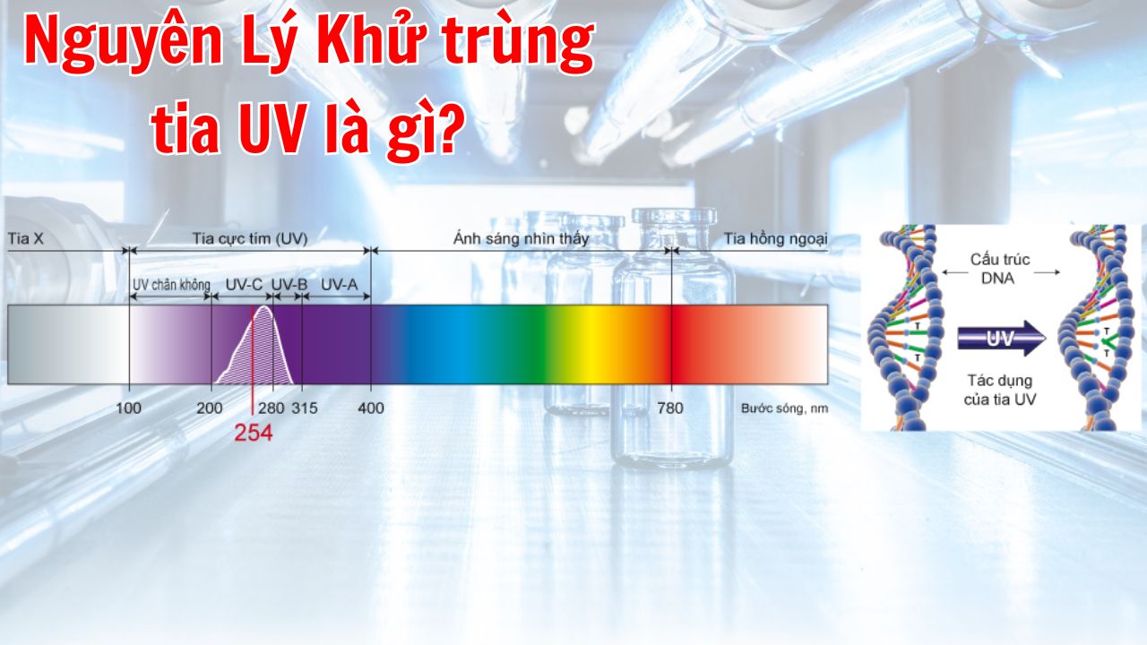 Nguyên Lý Khử trùng tia UV