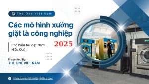 Các mô hình xưởng giặt là công nghiệp phổ biến tại Việt Nam năm 2025